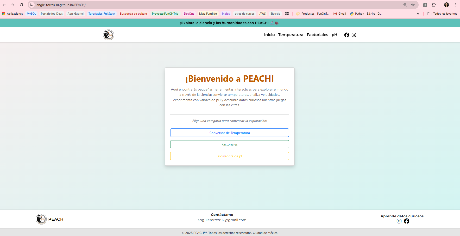 Vista previa del proyecto peach